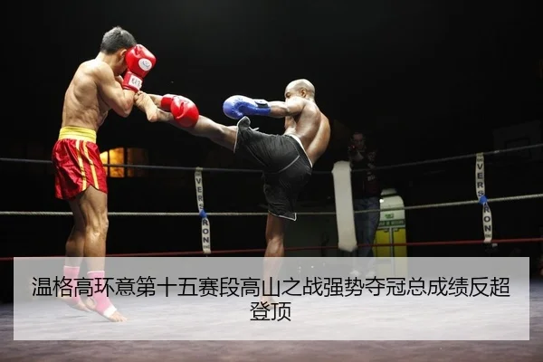 wen-ge-gao-huan-yi-di-shi-wu-sai-duan-gao-shan-zhi-zhan-qiang-shi-duo-guan-zong-cheng-ji-fan-chao-deng-ding-2-311.jpg